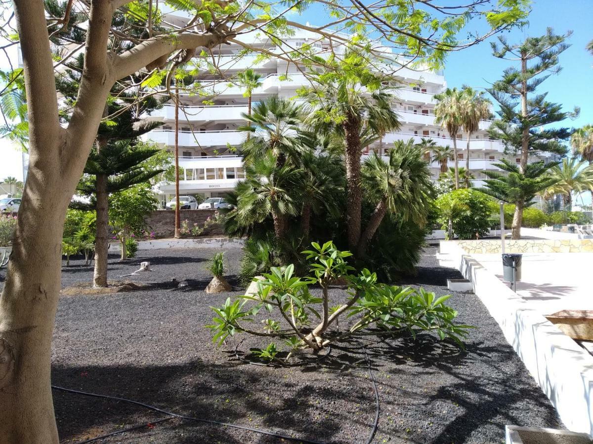 Vina Del Mar Appartement Playa de las Américas Buitenkant foto
